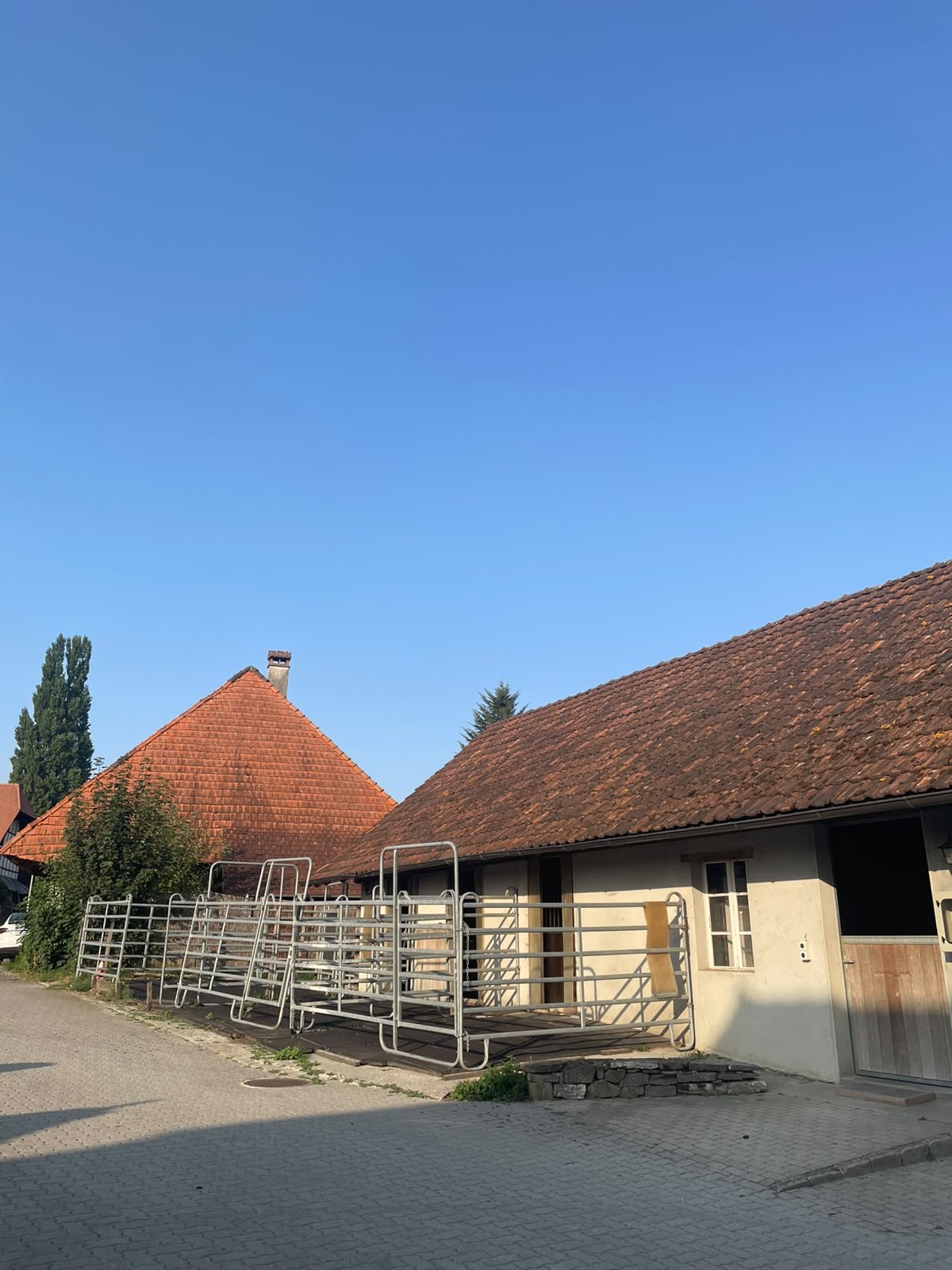 Sechserstall für eher kleinere Gäste